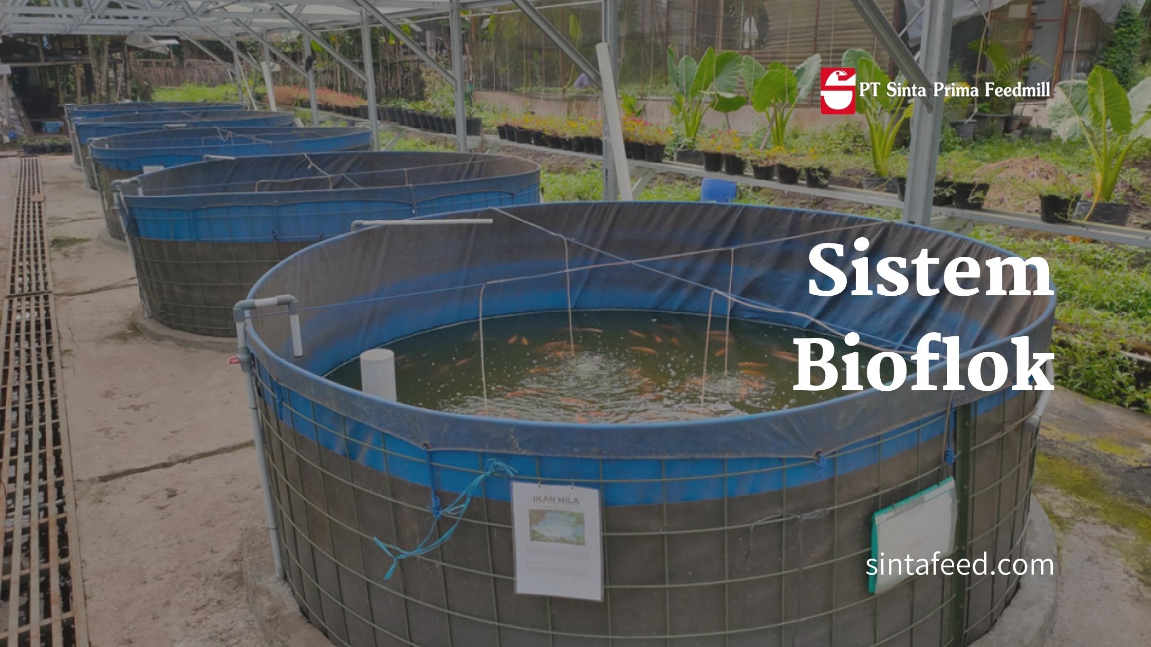bioflok